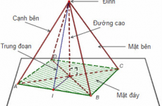 hình chóp đều