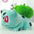 con gấu tiếng anh là gì