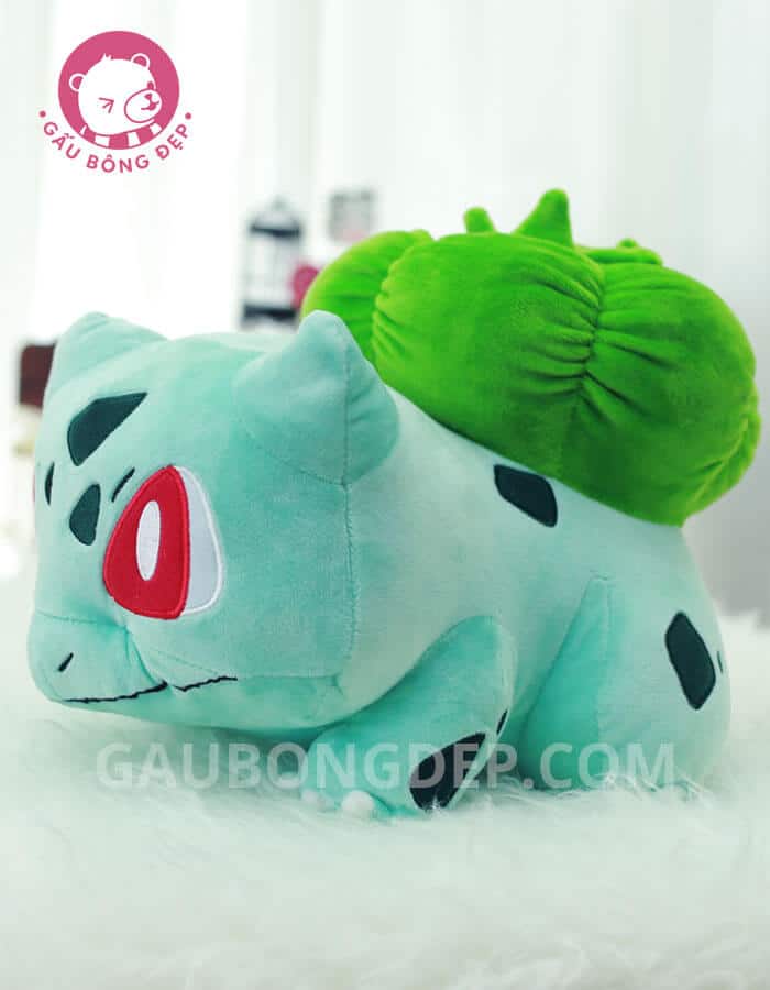 con gấu tiếng anh là gì