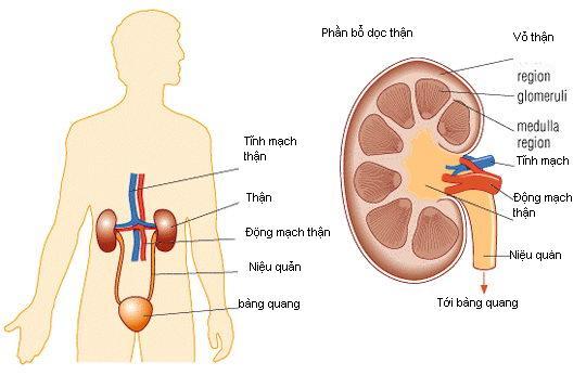 Á Thần Là Gì - Điểm Mặt 5 Vị Anh Hùng Trong Thần Thoại Hy Lạp