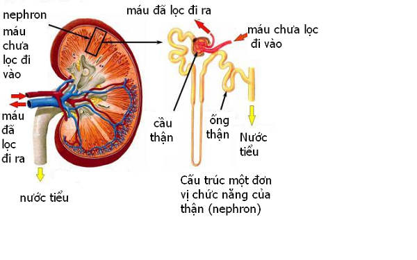 Á Thần Là Gì - Điểm Mặt 5 Vị Anh Hùng Trong Thần Thoại Hy Lạp
