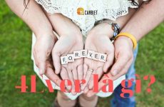 forever là gì