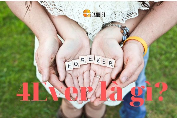 forever là gì