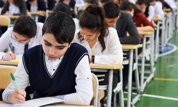 revise là gì