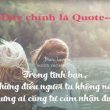 quotes là gì
