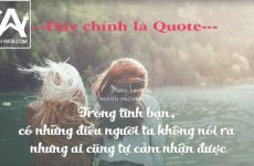 quotes là gì