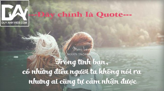 quotes là gì