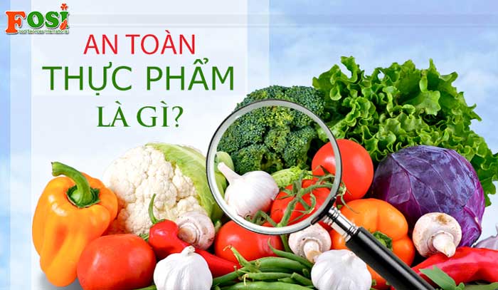 thực phẩm là gì