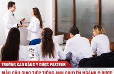 chuyên ngành tiếng anh là gì