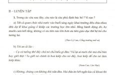 câu phủ định là gì