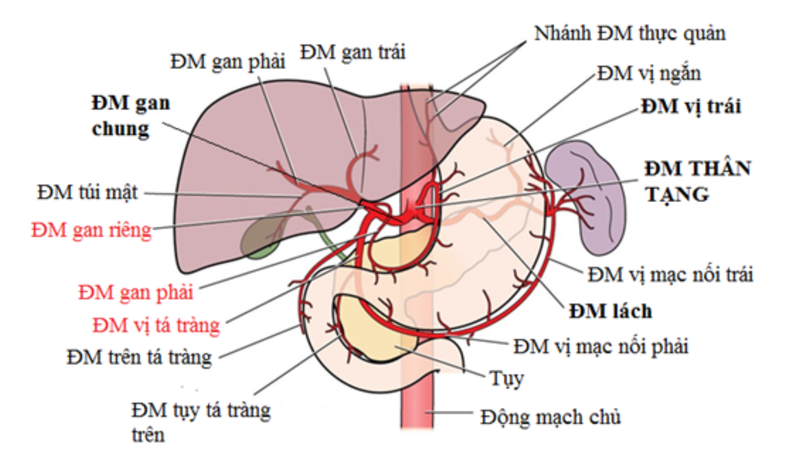 Á Thần Là Gì - Điểm Mặt 5 Vị Anh Hùng Trong Thần Thoại Hy Lạp