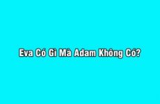 898 nghĩa là gì