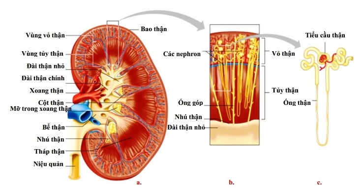 Á Thần Là Gì - Điểm Mặt 5 Vị Anh Hùng Trong Thần Thoại Hy Lạp