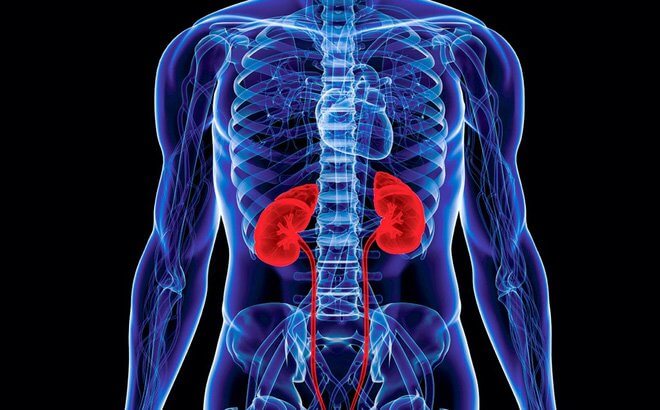 Á Thần Là Gì - Điểm Mặt 5 Vị Anh Hùng Trong Thần Thoại Hy Lạp