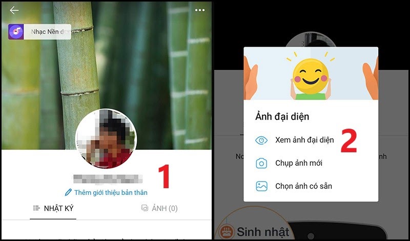 Hướng Dẫn Cách Ẩn Ảnh Đại Diện Trên Zalo Không Ai Biết, Cách Xóa Ảnh Đại Diện Trên Zalo