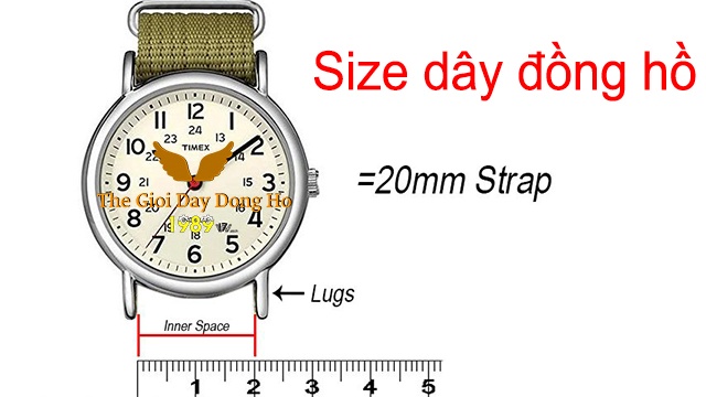Hướng Dẫn 3 Cách Đo Size Dây Đồng Hồ dễ thực hiện nhất 2 Hướng Dẫn 3 Cách Đo Size Dây Đồng Hồ Dễ Thực Hiện Nhất