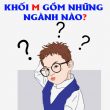 sow là gì