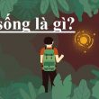quan điểm là gì