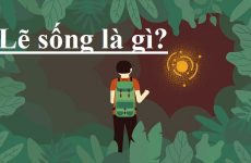 quan điểm là gì
