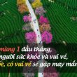 lời chúc mùng 1 đầu tháng