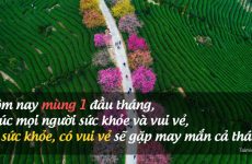 lời chúc mùng 1 đầu tháng