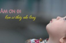biết ơn là gì