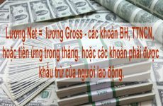 net là gì