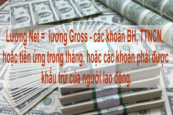 net là gì