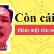 ngu là gì