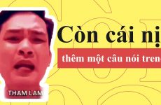 ngu là gì