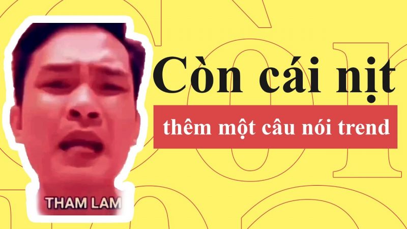 ngu là gì