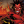Mephisto - Chúa quỷ của Marvel là ai ? - Hồ Sơ Nhân Vật - Nhân vật Marvel