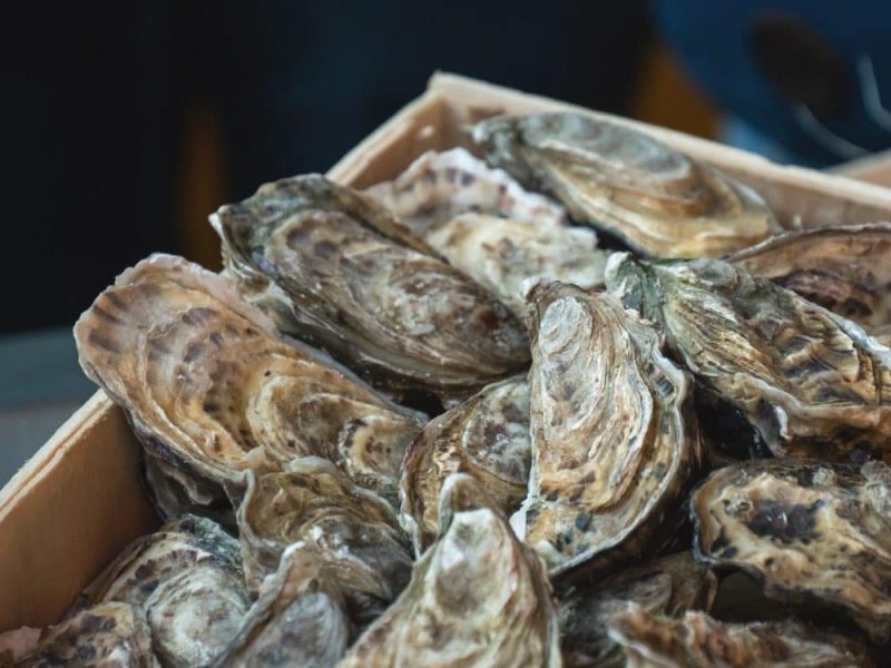 bước sóng là gì
