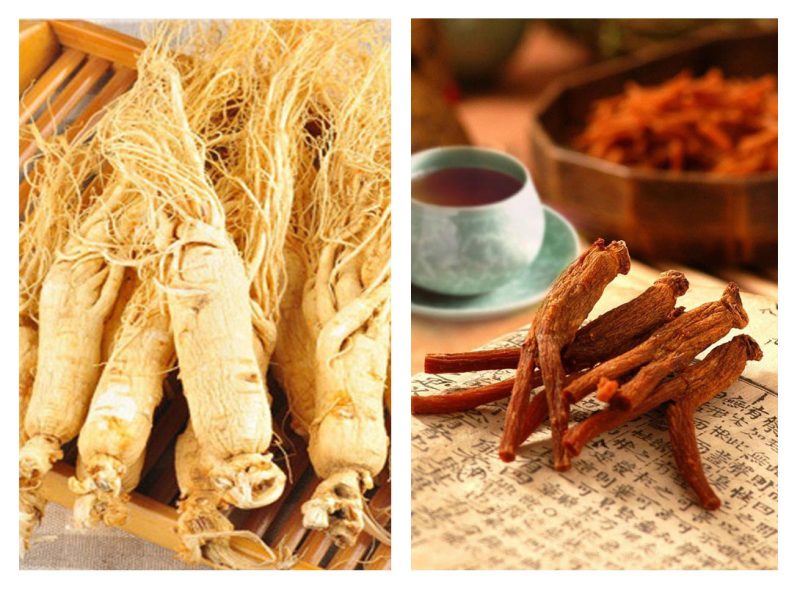 hồng phát là gì