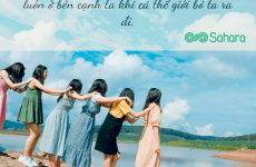 stt là gì