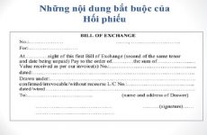 hối phiếu là gì