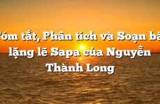 tóm tắt hoa thiên cốt