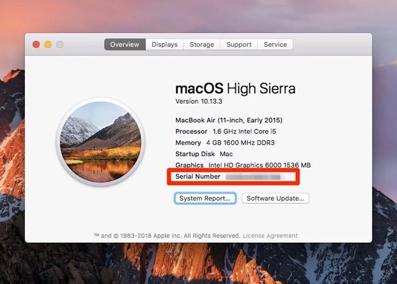 Cách kiểm tra pin MacBook: độ chai, số lần sạc,...chính xác nhất