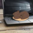suspend là gì