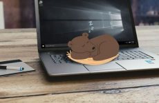 suspend là gì