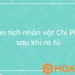 tóm tắt chí phèo