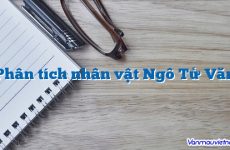 phân tích nhân vật ngô tử văn