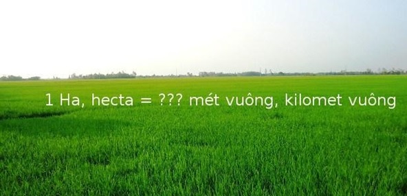 1ha bằng bao nhiêu m2 ? quy đổi 1ha = công, mẫu, km2