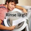 rinse là gì