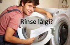rinse là gì