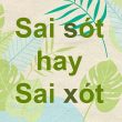 thiếu sót hay thiếu xót