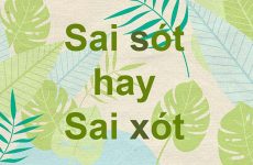 thiếu sót hay thiếu xót