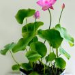 ngày tốt tháng 7