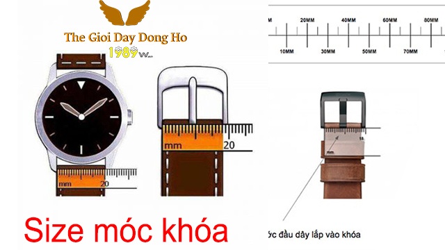 Hướng Dẫn 3 Cách Đo Size Dây Đồng Hồ dễ thực hiện nhất 3 Hướng Dẫn 3 Cách Đo Size Dây Đồng Hồ Dễ Thực Hiện Nhất