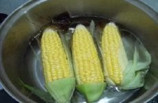 cách lấy lại zalo
